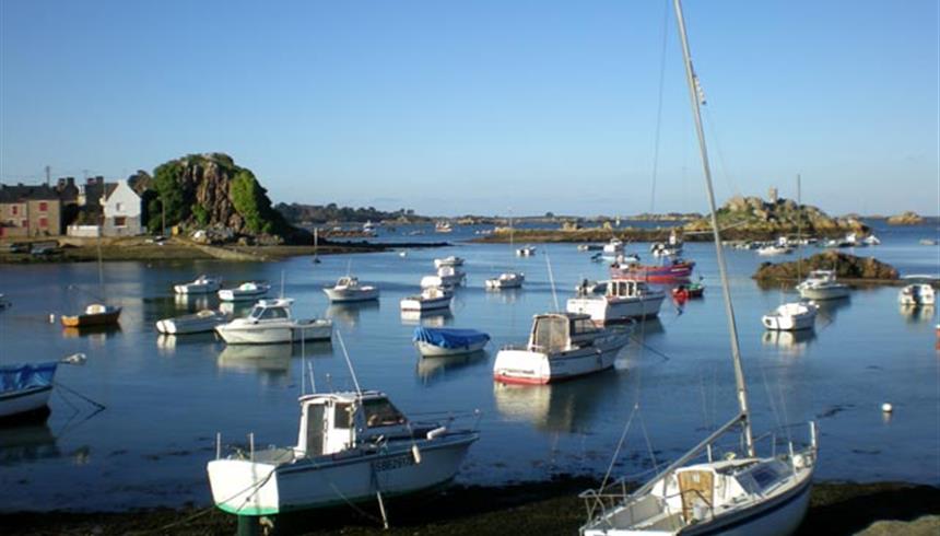 fete de la coquille saint jacque hotel paimpol