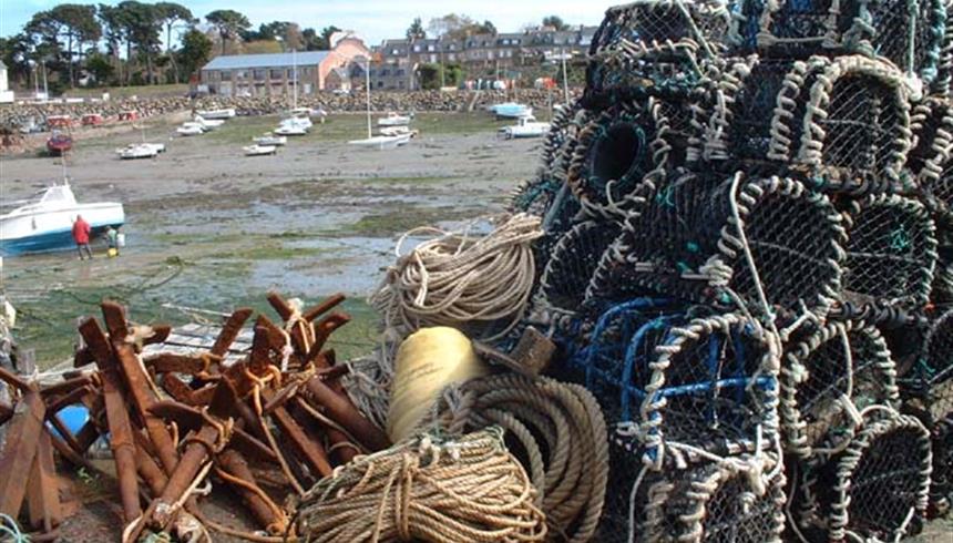 fete de la coquille saint jacque hotel proche brehat
