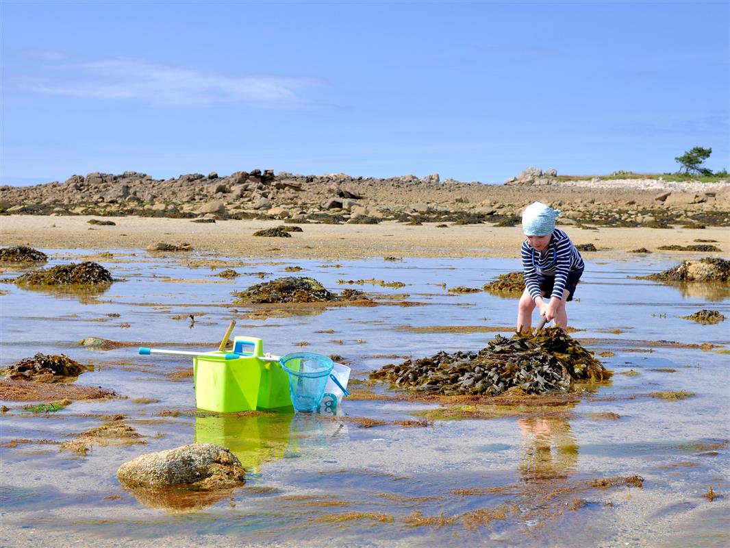 Grande Marées et pêche à pied